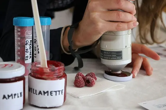 Abb. 6: Beispiele für Marmeladen, die im Rahmen eines Forschungsprojekts am Versuchszentrum Laimburg hergestellt wurden.: © Versuchszentrum Laimburg