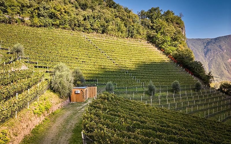 Abb. 1: Das LIDO-Freilandlabor für Obst- und Weinbau am Versuchszentrum Laimburg fördert Innovation im Bereich der Digitalisierung und Robotik. © Versuchszentrum Laimburg/andreas tauber