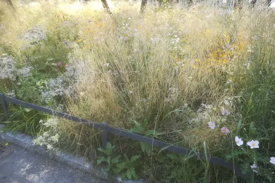 Fig. 5: Le aiuole di piante perenni nei giardini pubblici creano spazi vivaci, variegati ed esteticamente gradevoli e richiedono poca manutenzione.
© Laimburg Research Centre