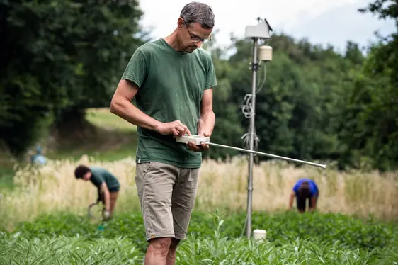 Abb. 3: Mitarbeitende der Arbeitsgruppe „Acker- und Kräuteranbau“ bei ihren Arbeiten auf dem Feld: © Laimburg Research Centre/Ivo Corrà
