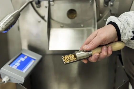 Abb. 3: Bei der Bierherstellung fällt Biertreber als Nebenprodukt an: © Laimburg Research Centre /ivo corrà