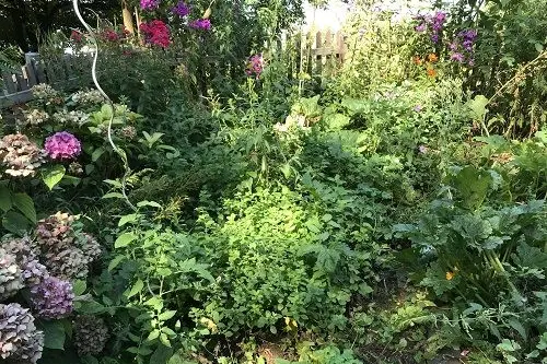 Fig. 3: Il giardino Elsenhof a Montagna: © Laimburg Research Centre