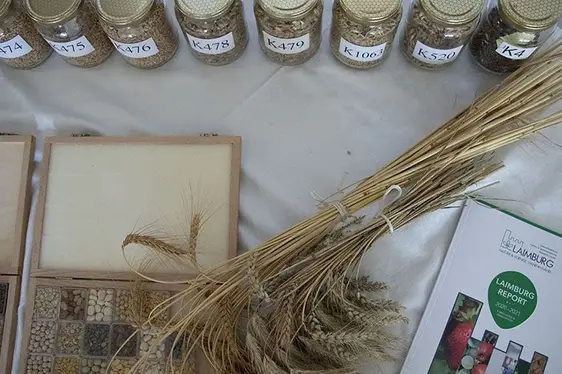 Abb. 5: Sammlung von Ackerkultur-Sorten in der Genbank des Versuchszentrums Laimburg: © Versuchszentrum Laimburg