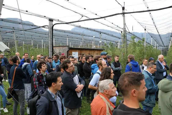 Abb. 3: Die Teilnehmenden während der Vorführungen in der digitalen Apfelwiese LIDO: © Laimburg Research Centre/agnese martinelli