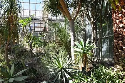 Tropenhaus: ©Versuchszentrum Laimburg