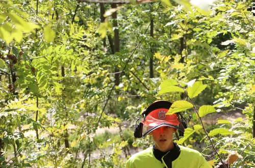 Waldarbeiterkurs Waldarbeiterkurs