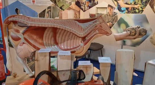 Messestand Messestand