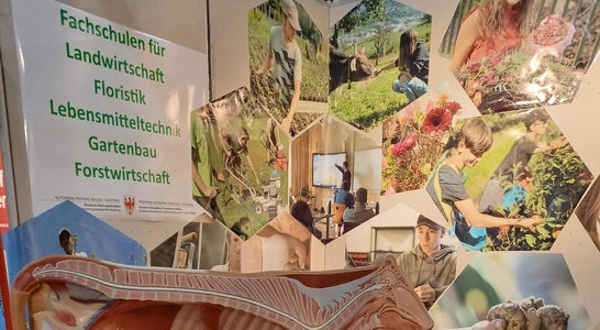 Messestand Messestand