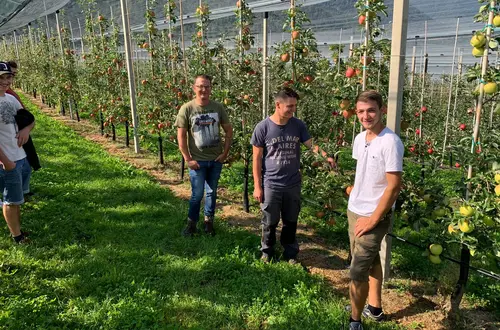 In der Apfelwiese Zuhause. Unsere Schüler im Praxisunterricht. In der Apfelwiese Zuhause. Unsere Schüler im Praxisunterricht.