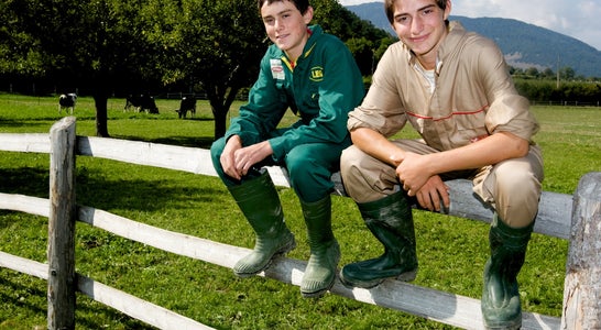 Schüler sitzen auf einem Zaun Schüler sitzen auf einem Zaun