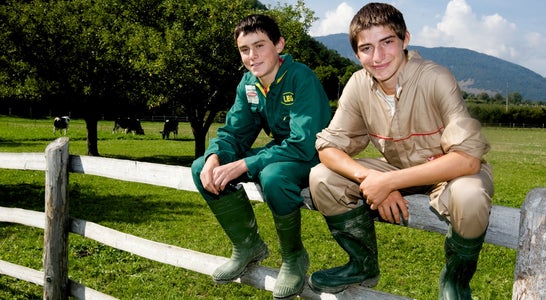 Schüler sitzen auf einem Zaun Schüler sitzen auf einem Zaun