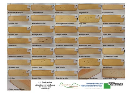 Die verschiedenen Teilnehmer Die verschiedenen Teilnehmer