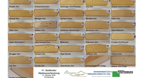Die verschiedenen Teilnehmer Die verschiedenen Teilnehmer