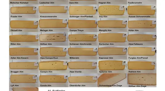 Die verschiedenen Teilnehmer Die verschiedenen Teilnehmer