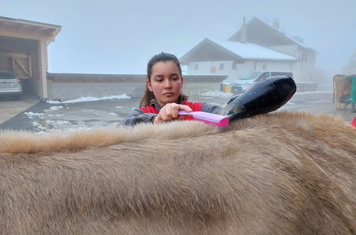 Bodystyling Bodystyling