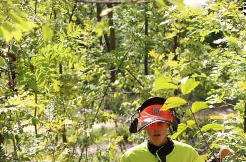 Waldarbeiterkurs Waldarbeiterkurs