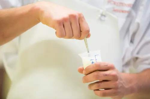 Milchverarbeitung Milchverarbeitung