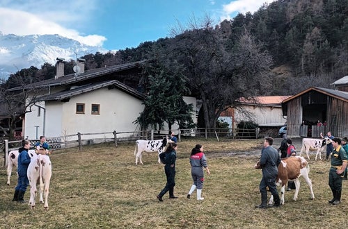 Bodystyling Bodystyling