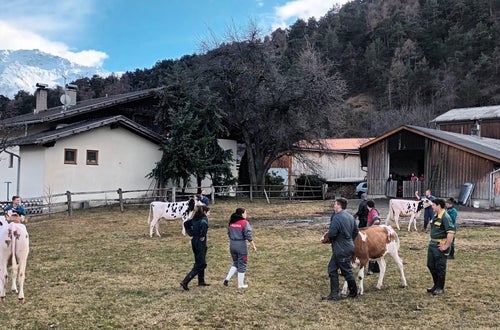 Bodystyling Bodystyling