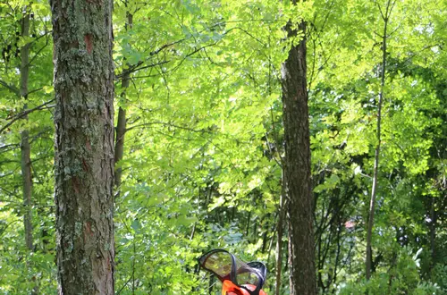 Waldarbeiterkurs Waldarbeiterkurs