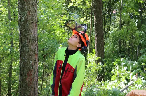 Waldarbeiterkurs Waldarbeiterkurs