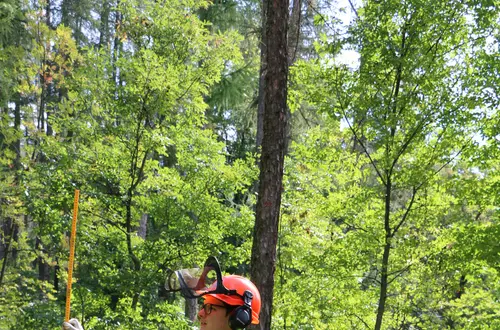 Waldarbeiterkurs Waldarbeiterkurs