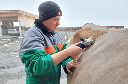 Bodystyling Bodystyling