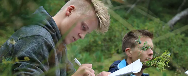 Junge mit Lehrer im Wald beim Sträucher benennen. Junge mit Lehrer im Wald beim Sträucher benennen.
