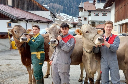 Bodystyling Bodystyling