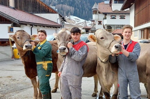 Bodystyling Bodystyling