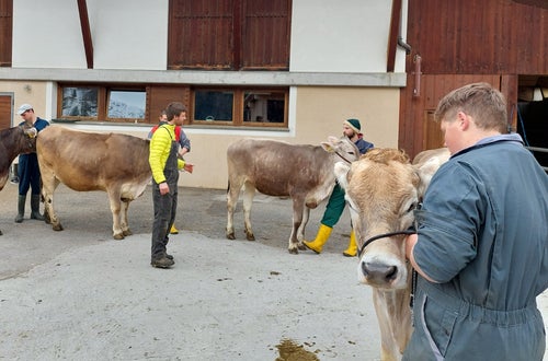 Präsentieren Präsentieren