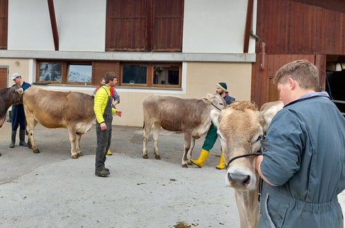 Präsentieren Präsentieren