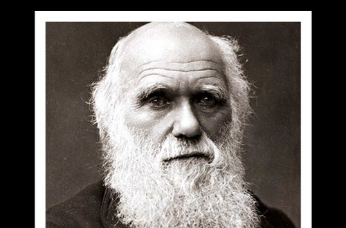 Wall of fame Charles Darwin Wall of fame Charles Darwin