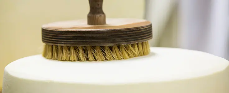 Abreiben eines Käseleibs Abreiben eines Käseleibs