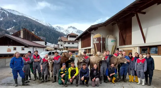 Die Workshop-Gruppe Die Workshop-Gruppe