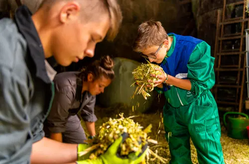 Futterbewertung von drei Schülern Futterbewertung von drei Schülern