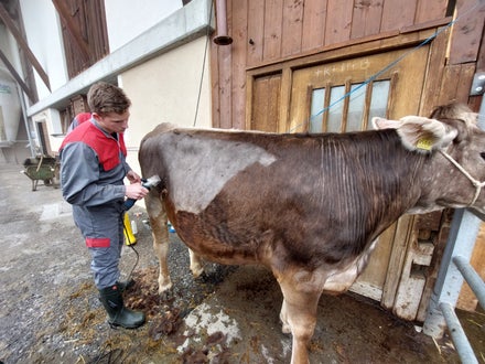 Bodystyling Bodystyling