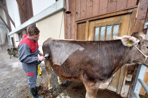 Bodystyling Bodystyling