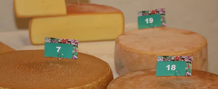 Viel Käse Viel Käse