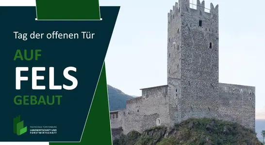 Tag der offenen Tür 2025