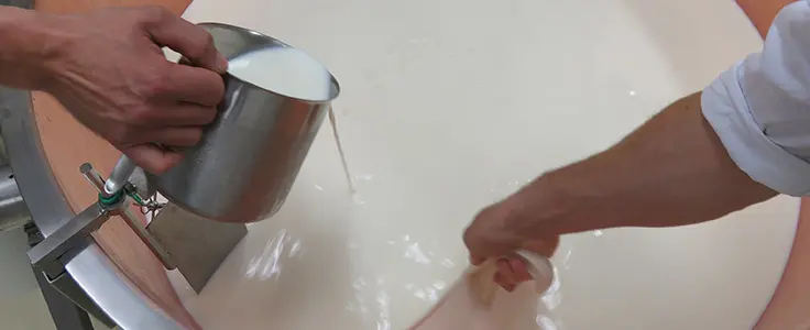 Milch Ausbildung Milch Ausbildung