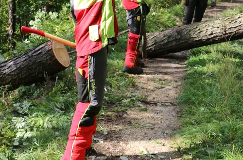 Waldarbeiterkurs Waldarbeiterkurs