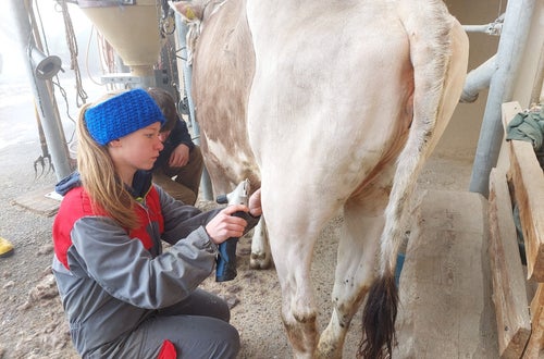 Bodystyling Bodystyling