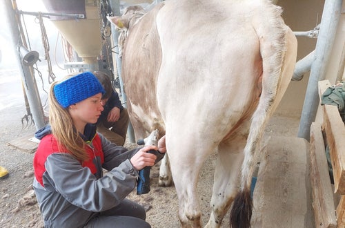 Bodystyling Bodystyling