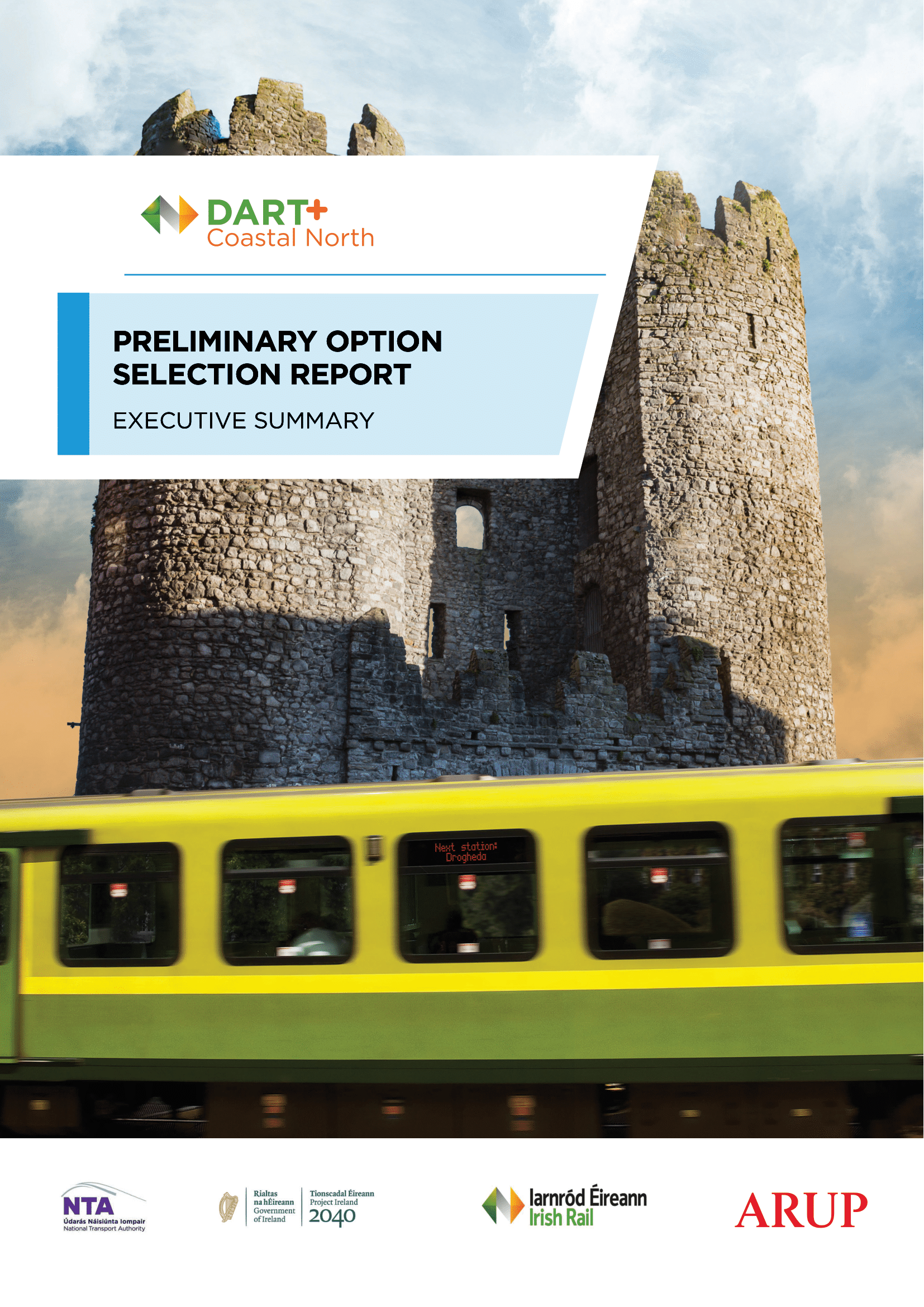 Preliminary Option Selection Report: Executive Summary