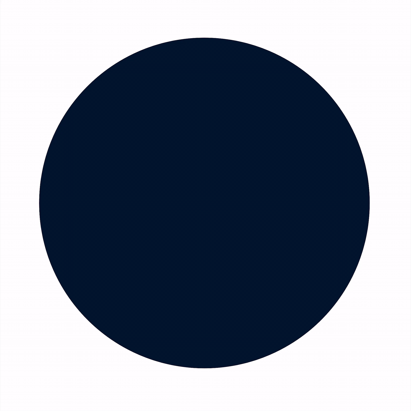 Realite round logo animation