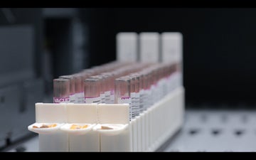 Image of tests tubes in a laboratory