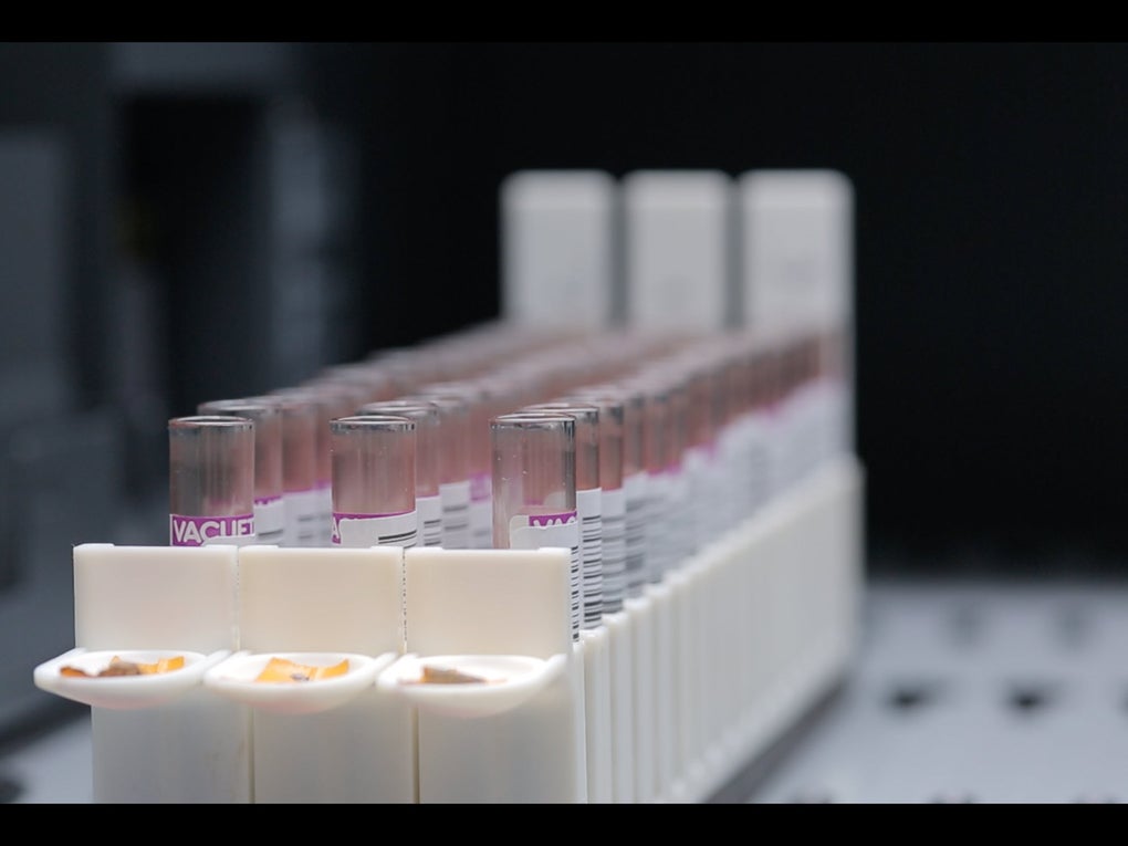 Image of tests tubes in a laboratory Image of tests tubes in a laboratory