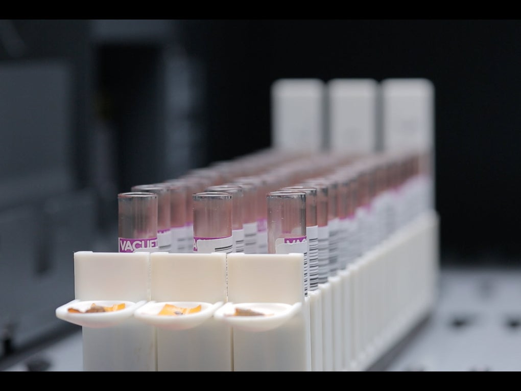 Image of tests tubes in a laboratory Image of tests tubes in a laboratory
