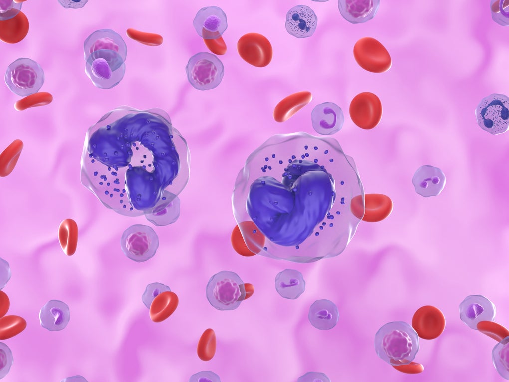 3d illustration chronic myeloid leukaemia 3d illustration chronic myeloid leukaemia